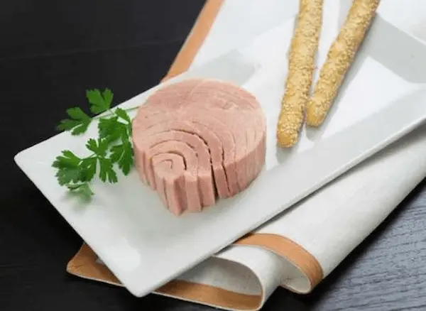 راهنمای خرید تن ماهی بدون روغن + قیمت عالی